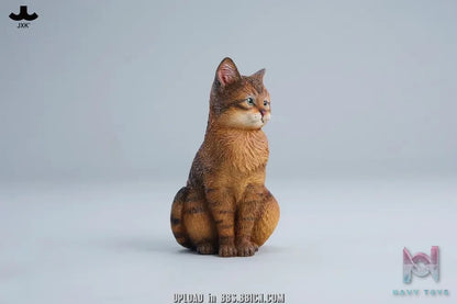 JXK – Well-behaved cat sitting JXK352 (Licensed)