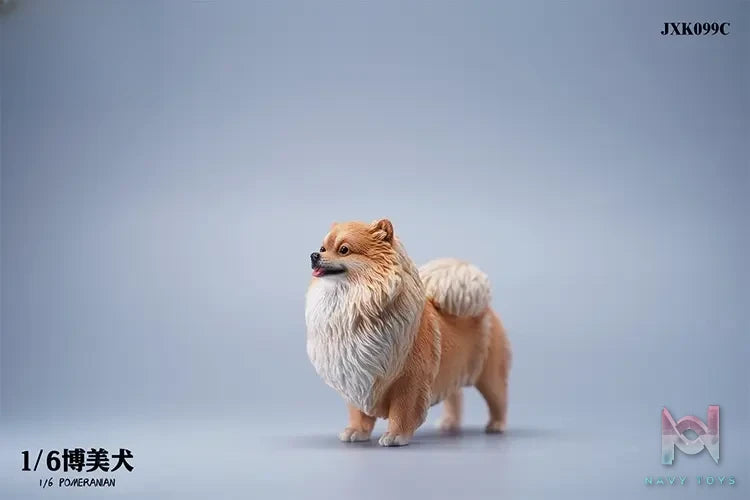 JXK – 1/6 Pomeranian JXK099 (Licensed)