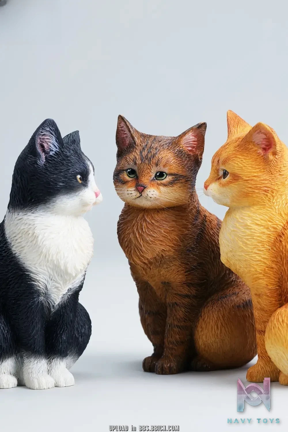 JXK – Well-behaved cat sitting JXK352 (Licensed)