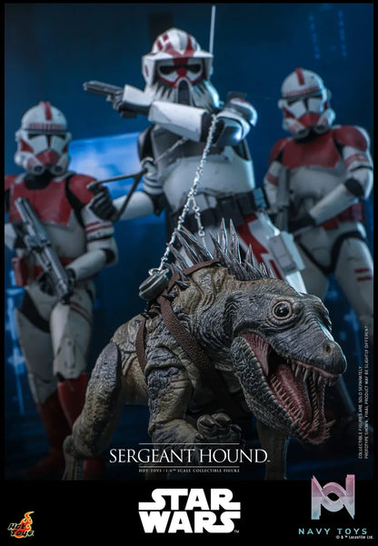 Hottoys – Sergeant Hound 1/6 Scale Collectible Figure TMS167 (Licensed)