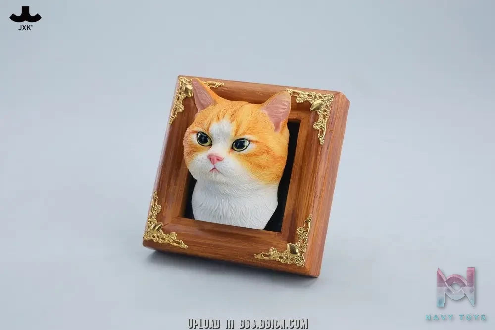 JXK – Gentle-eyed country cat JS2607 (Licensed)