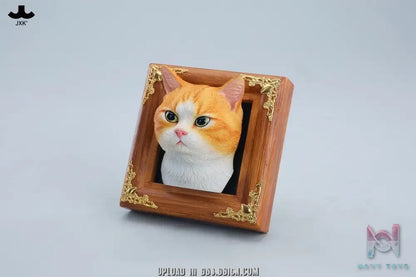 JXK – Gentle-eyed country cat JS2607 (Licensed)