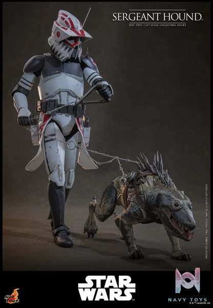 Hottoys – Sergeant Hound 1/6 Scale Collectible Figure TMS167 (Licensed)