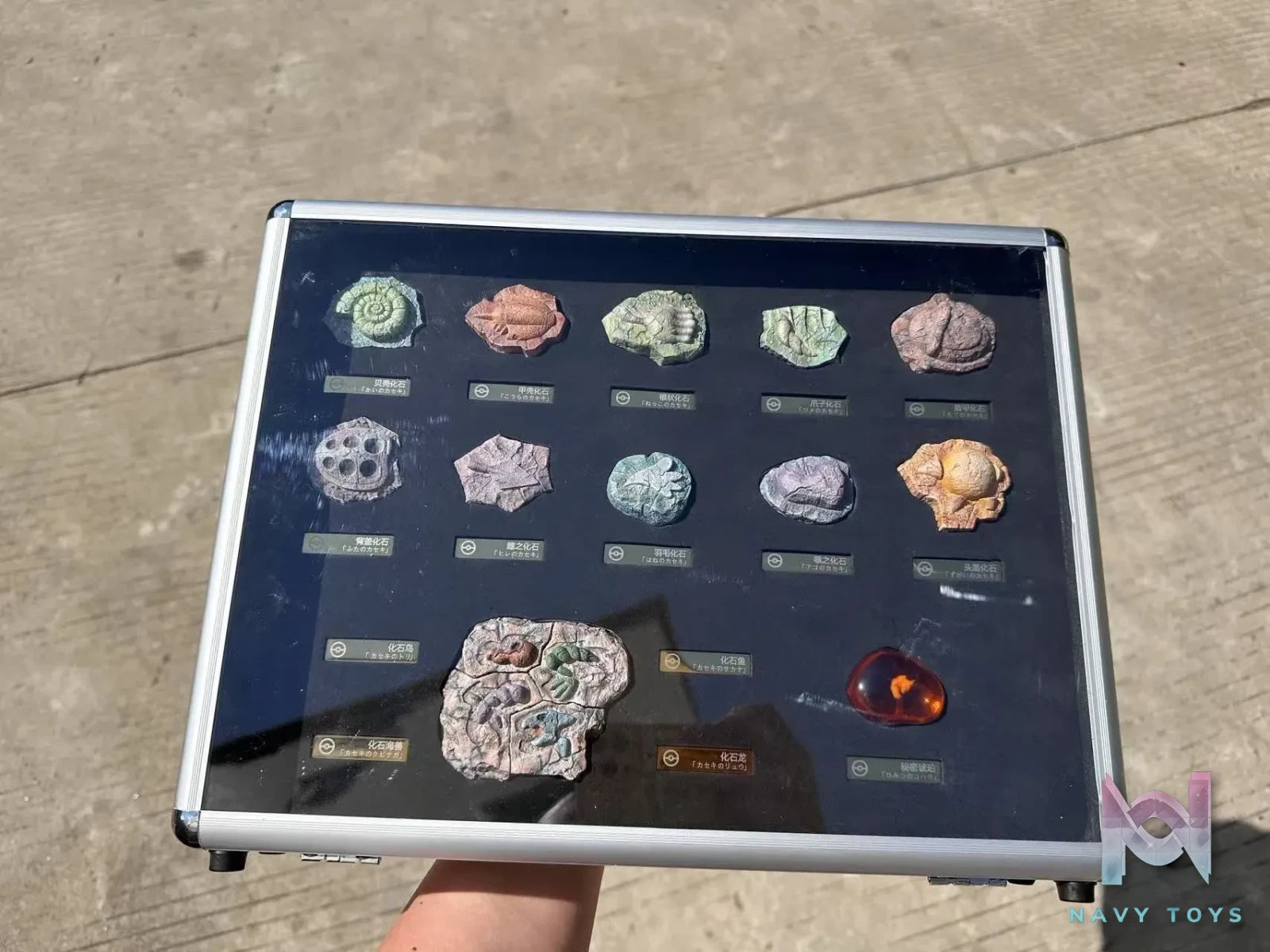 Bai Jing Wu Studio – Pokémon Fossil Set