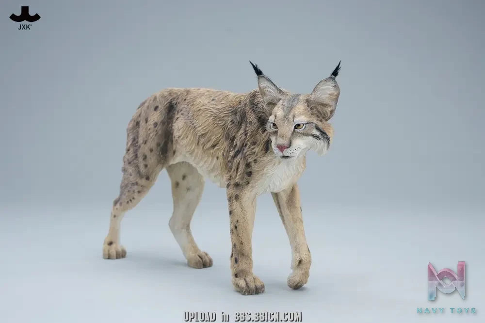 JXK – Lynx JXK361 (Licensed)