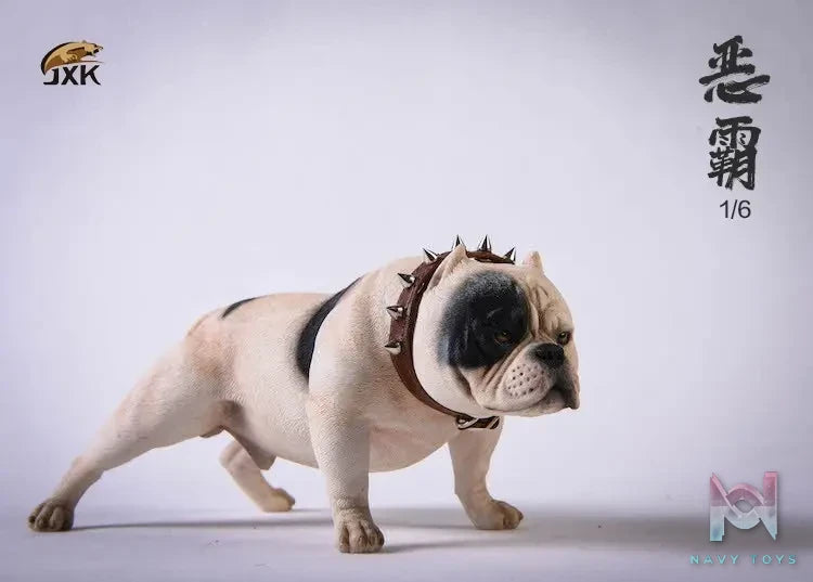 JXK – 1/6 Bully Dog JXK034B JXK034C JXK034D (Licensed)