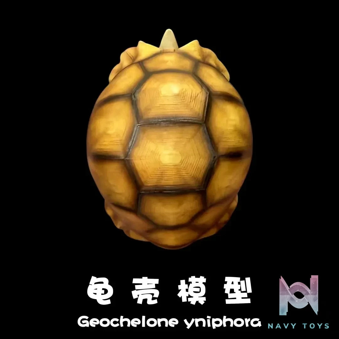 Natural Science Book Studio – Realistic Tortoise Shell Series Vol. 1: Angonoka (Licensed)
