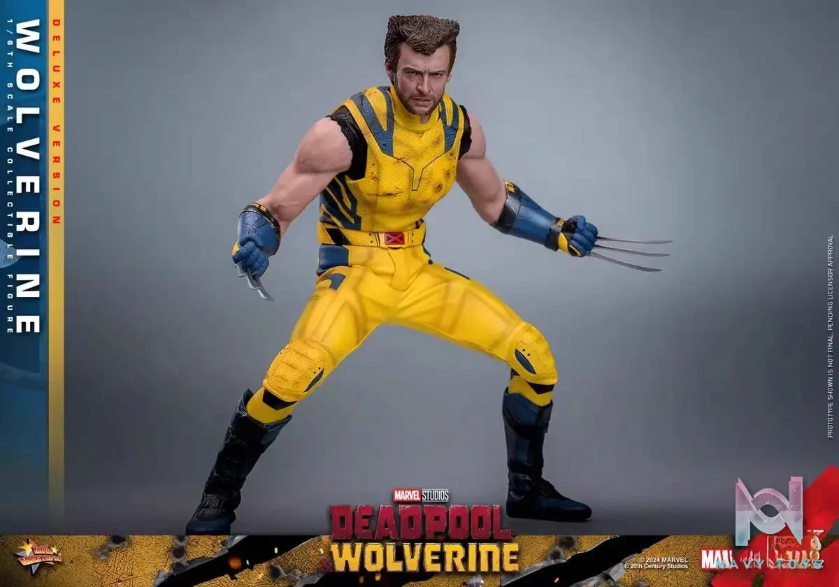 HOTTOYS Studio – Marvel Deadpool & Wolverine 1/6 Wolverine MMS753 Regular version & MMS754 Deluxe version (Licensed)