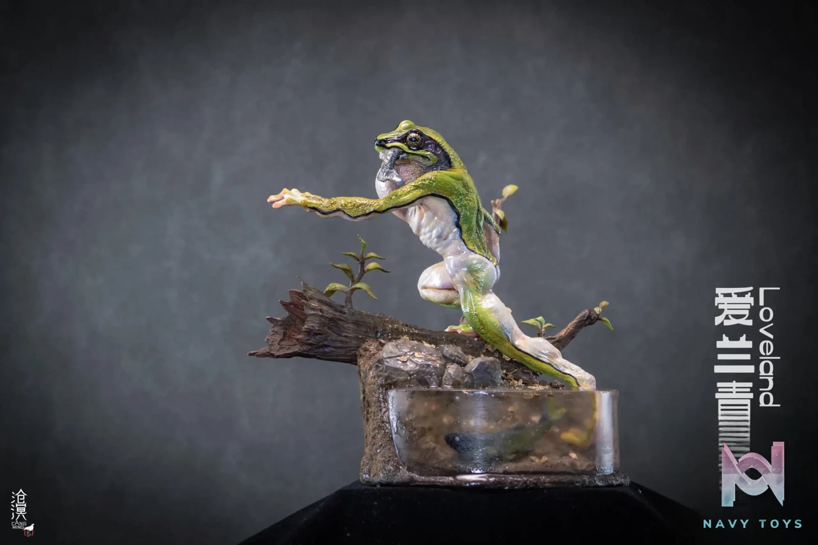 Cang Ming Studio – Original Ailan Frog Man (Licensed)