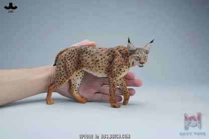 JXK – Lynx JXK361 (Licensed)