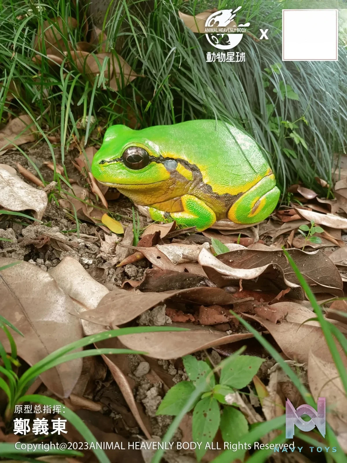 Animal Planet Studio – original Tree Frog Plus (Licensed)