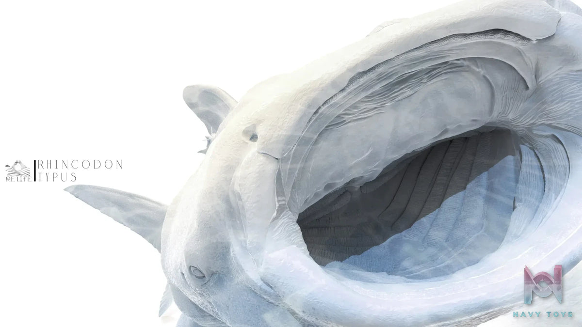 ReLife Studio – Original No series Blue Whale shark (Licensed)