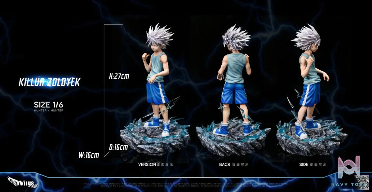 Wings Studio – HUNTER×HUNTER ********​******
