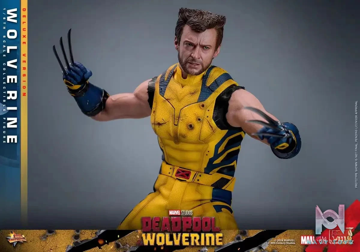 HOTTOYS Studio – Marvel Deadpool & Wolverine 1/6 Wolverine MMS753 Regular version & MMS754 Deluxe version (Licensed)