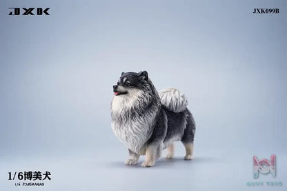 JXK – 1/6 Pomeranian JXK099 (Licensed)