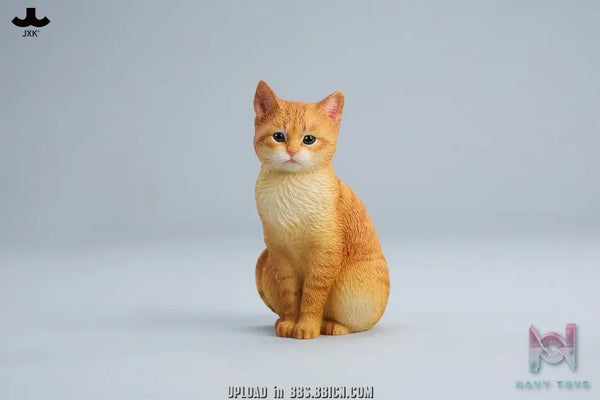 JXK – Well-behaved cat sitting JXK352 (Licensed)