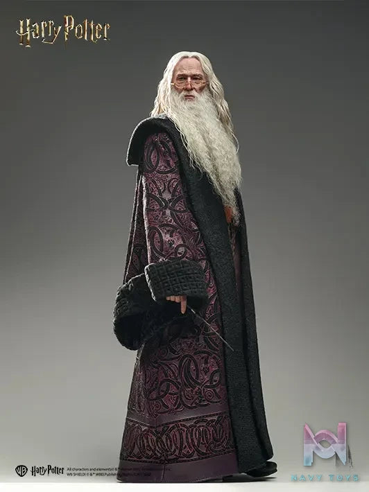 INART – Albus Dumbledore 1/6 Collectible Figure (Licensed)
