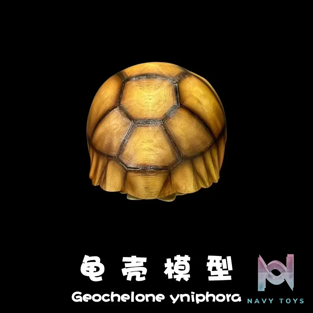 Natural Science Book Studio – Realistic Tortoise Shell Series Vol. 1: Angonoka (Licensed)