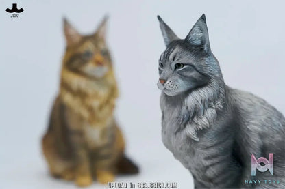 JXK – Sitting upright Maine Coon cat JXK364 (Licensed)