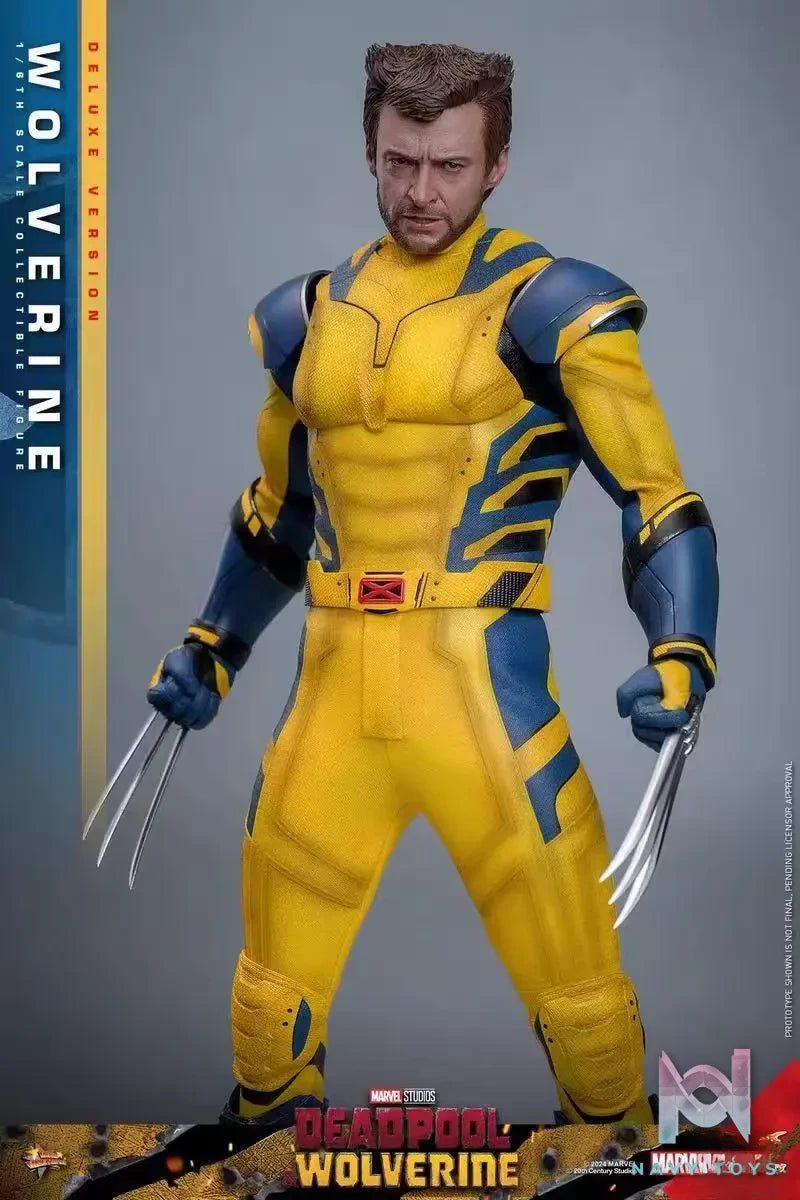 HOTTOYS Studio – Marvel Deadpool & Wolverine 1/6 Wolverine MMS753 Regular version & MMS754 Deluxe version (Licensed)