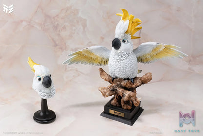 Xing Tou Yi He Studio – Jungle Catalog 003 Cacatua galerita Sulphur-crested Cockatoo Bromel (Licensed)