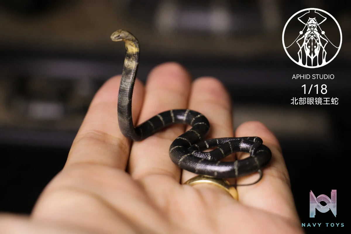 Aphid Studio – Northern King Cobra (Licensed)