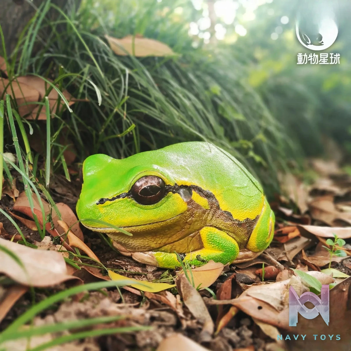 Animal Planet Studio – original Tree Frog Plus (Licensed)