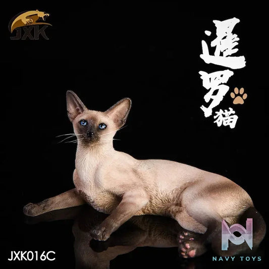 JXK – 1/6 Siamese Cat – Lying Pose JXK016C JXK017A (Licensed)