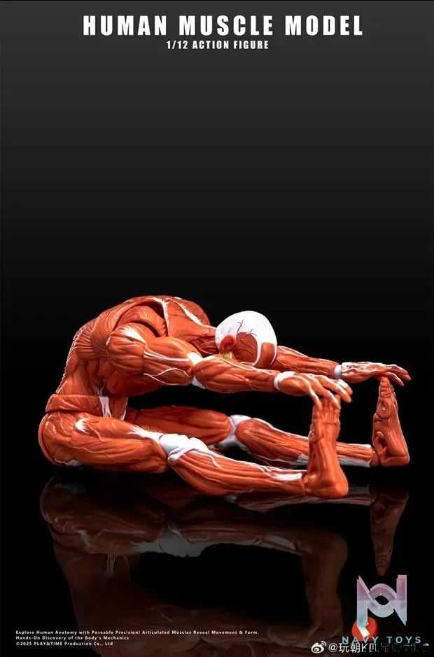 KEEPGOING – Human Muscle Model 1/12 Highly Articulated Figure (Licensed)