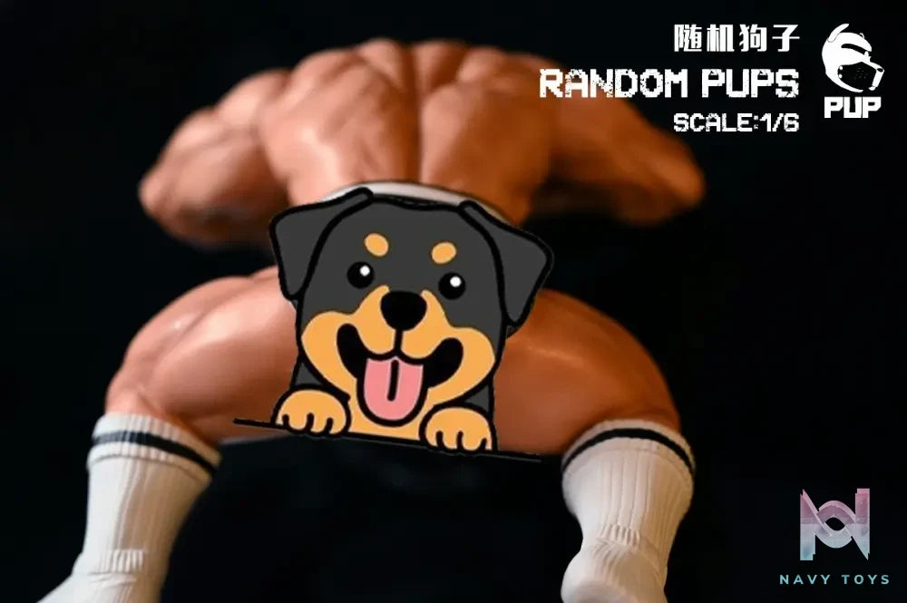 PUP Studio – Original Random puffs (Licensed)