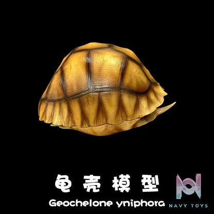 Natural Science Book Studio – Realistic Tortoise Shell Series Vol. 1: Angonoka (Licensed)
