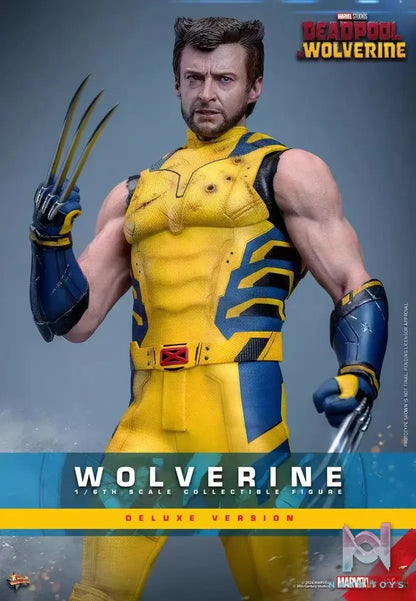 HOTTOYS Studio – Marvel Deadpool & Wolverine 1/6 Wolverine MMS753 Regular version & MMS754 Deluxe version (Licensed)