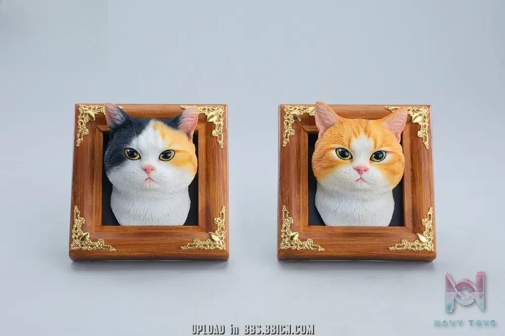 JXK – Gentle-eyed country cat JS2607 (Licensed)
