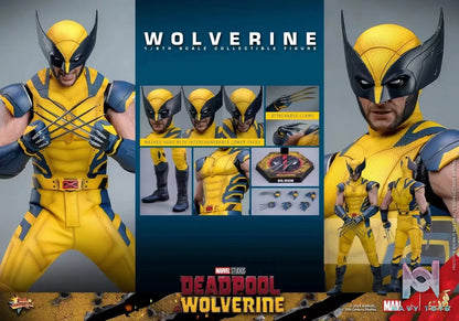 HOTTOYS Studio – Marvel Deadpool & Wolverine 1/6 Wolverine MMS753 Regular version & MMS754 Deluxe version (Licensed)