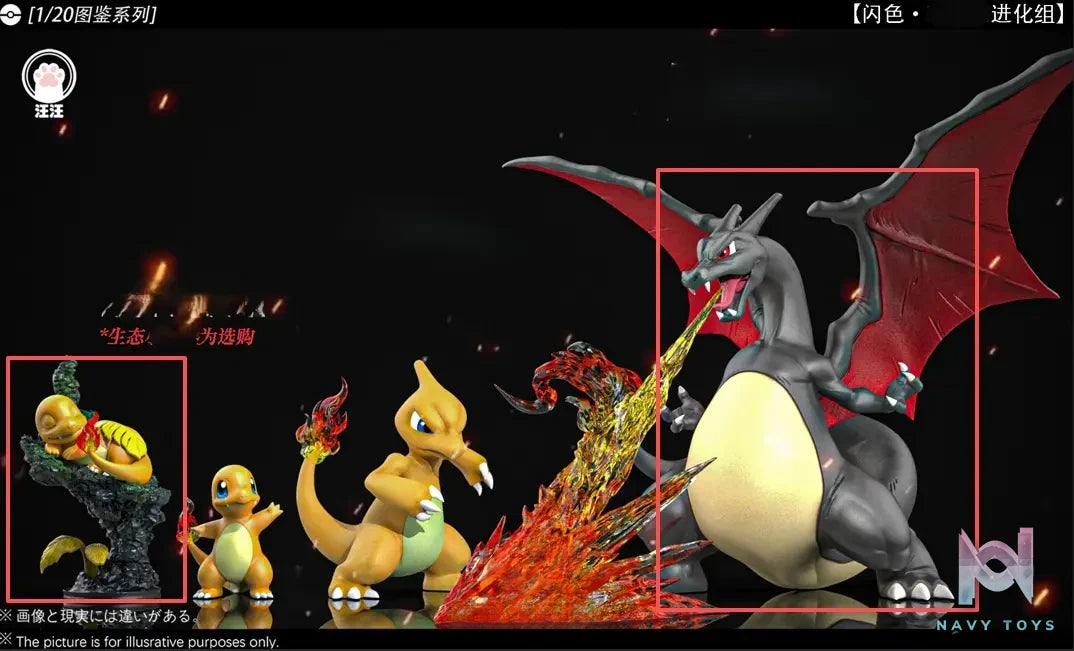 Wang Wang Studio – Charizard Evolution Set Pokémon