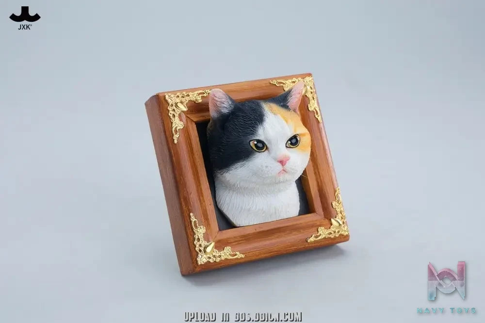 JXK – Gentle-eyed country cat JS2607 (Licensed)