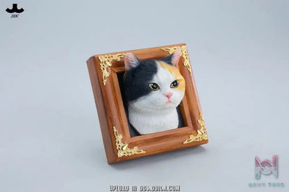 JXK – Gentle-eyed country cat JS2607 (Licensed)