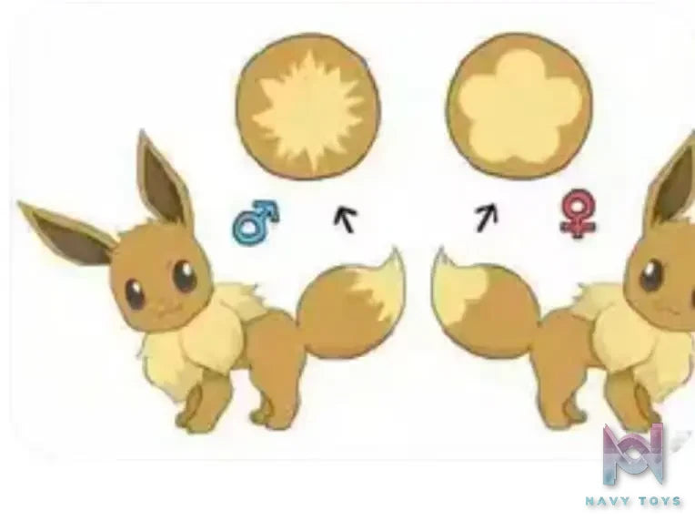 MoonShadow Studio – Pokémon Nature Series Eevee #5 Eevee and Pikachu Scene