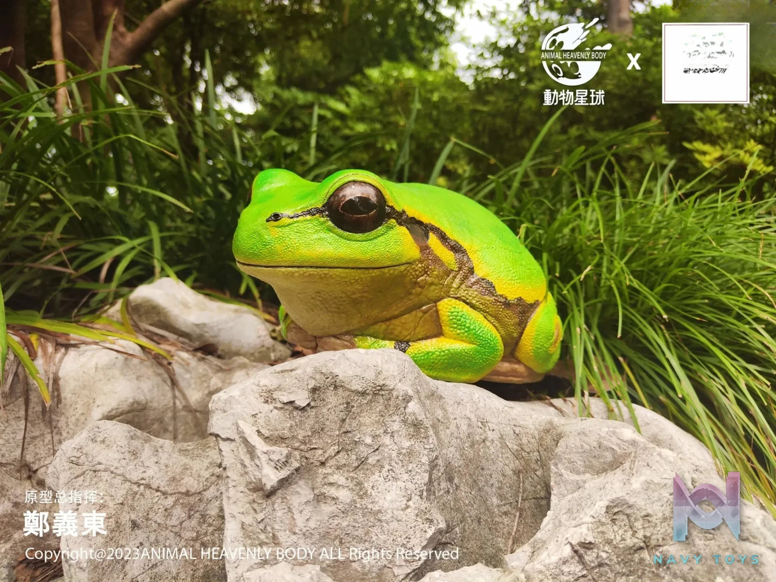 Animal Planet Studio – original Tree Frog Plus (Licensed)