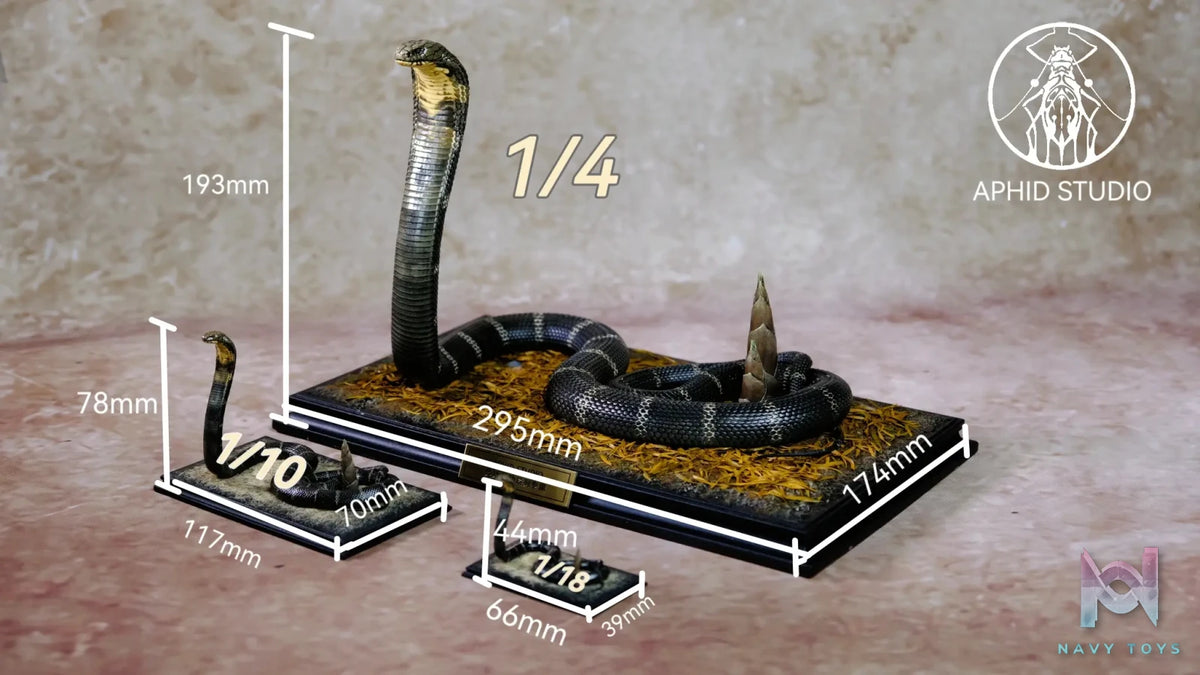 Aphid Studio – Northern King Cobra (Licensed)