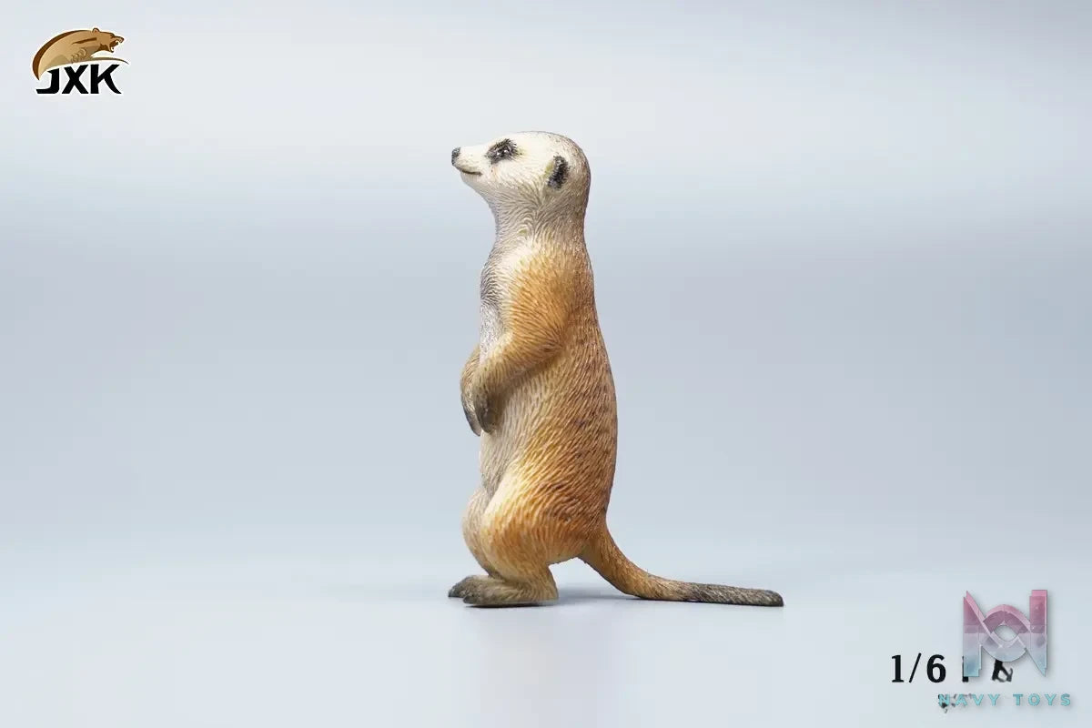 JXK – 1/6 Ono pig X Suricate (Licensed)