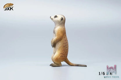 JXK – 1/6 Ono pig X Suricate (Licensed)