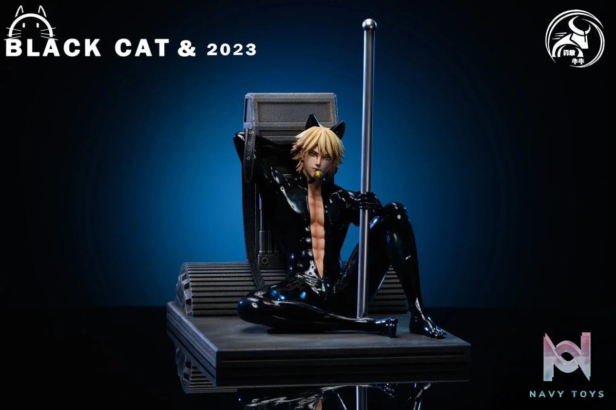 YGNN Studio – Miraculous：Tales of Ladybug & Cat Noir Cat Noir