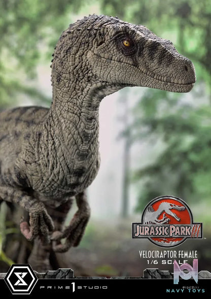 Prime 1 Studio – Legacy Museum Collection Jurassic Park III (Film) Velociraptor Female LMCJP-11 LMCJP-11S (Licensed)