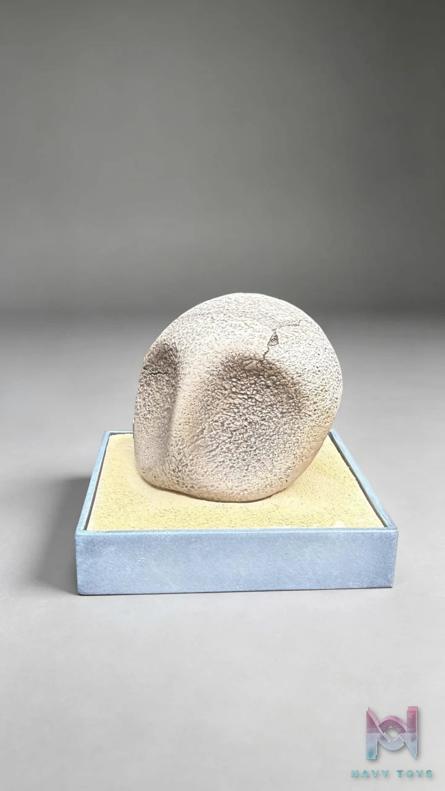 Miumiu Studio – Fossil Museum Series Kabutops X Kabuto Pokémon
