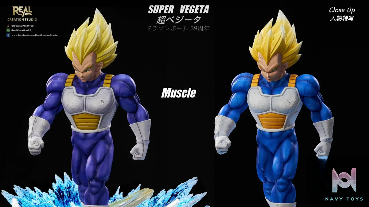 Real Creation Studio – Dragon Ball Super Vegeta