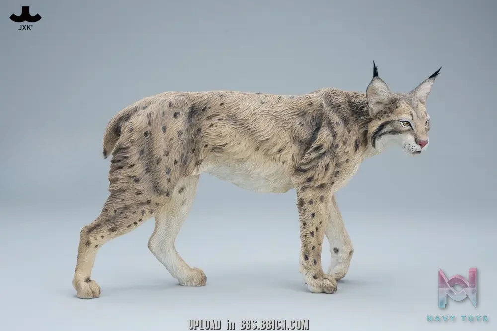 JXK – Lynx JXK361 (Licensed)