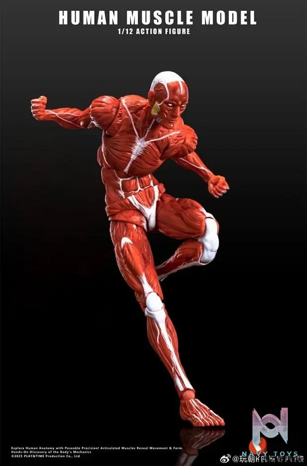 KEEPGOING – Human Muscle Model 1/12 Highly Articulated Figure (Licensed)