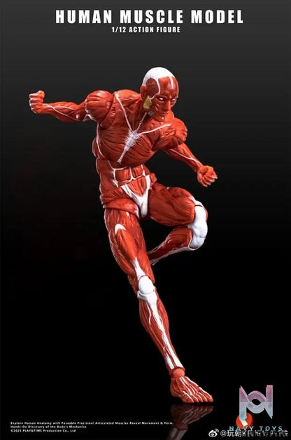 KEEPGOING – Human Muscle Model 1/12 Highly Articulated Figure (Licensed)