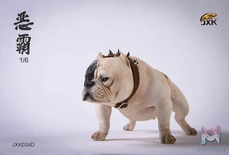 JXK – 1/6 Bully Dog JXK034B JXK034C JXK034D (Licensed)